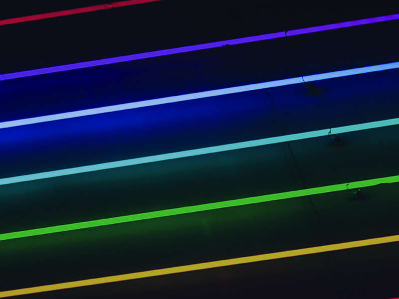 Neon tubes on a black background