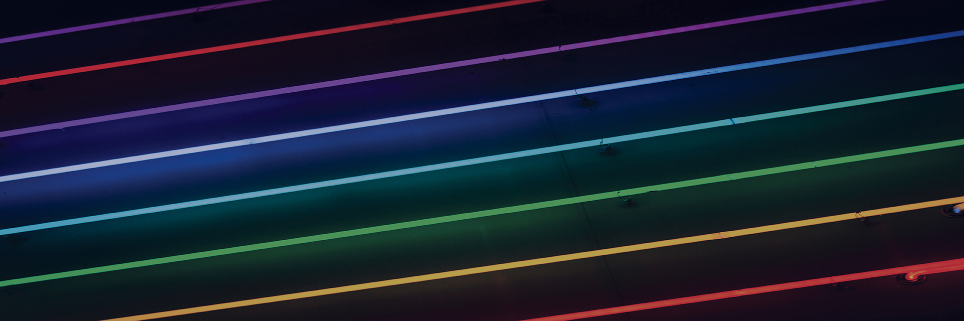 Colorful neon tubes angled on a black background